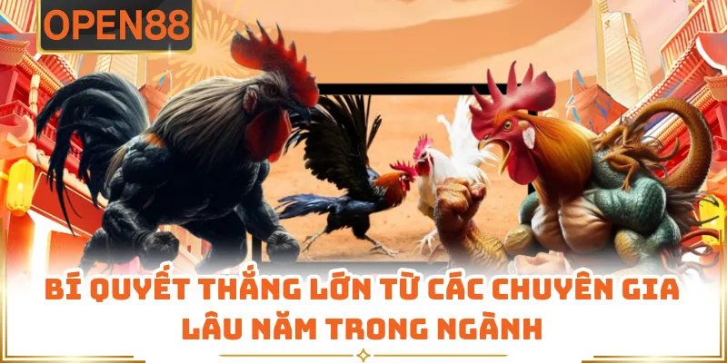 Bí Quyết Thắng Lớn Từ Các Chuyên Gia Lâu Năm Trong Ngành